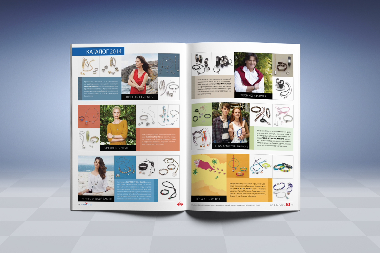 Описание изображения