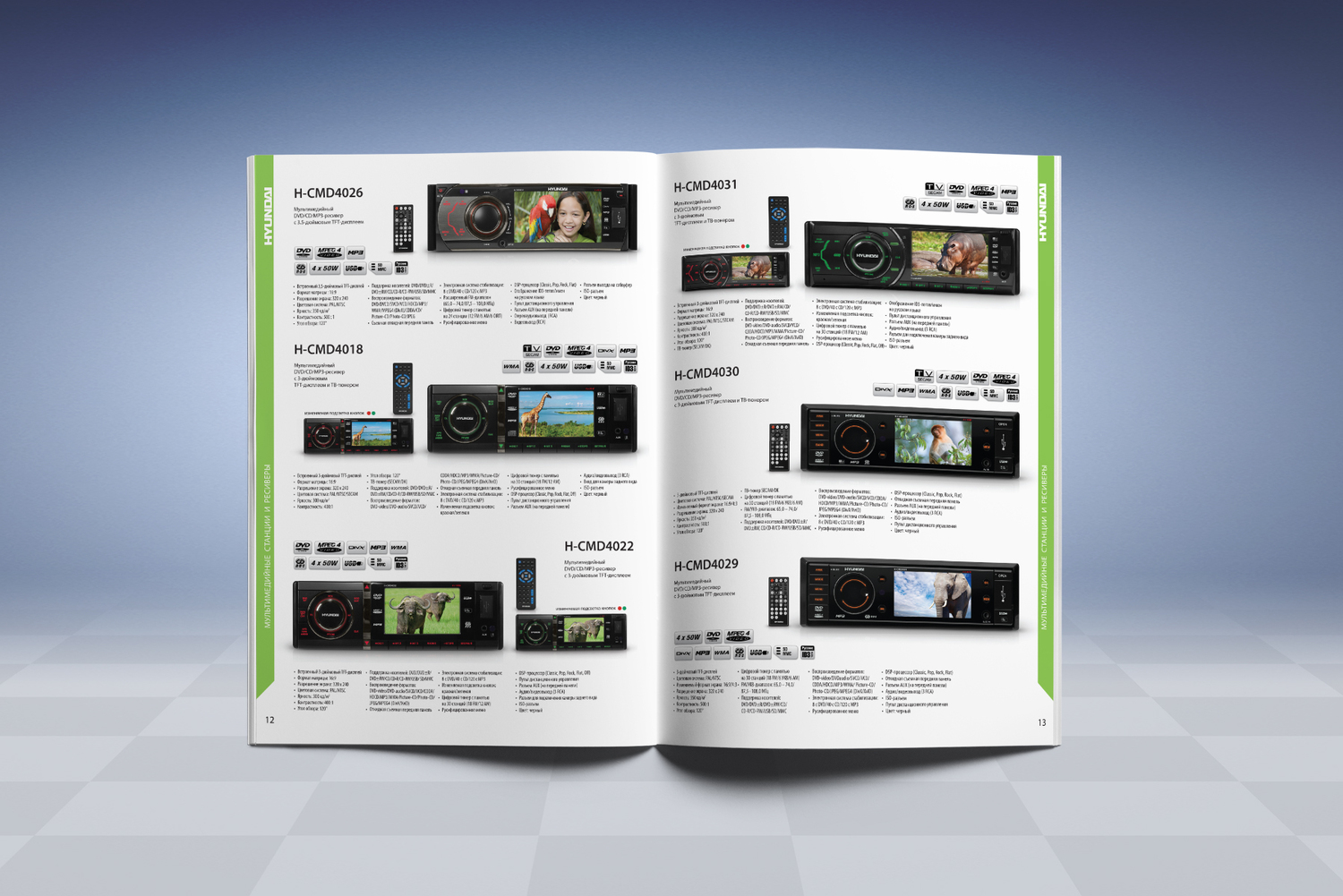 Описание изображения