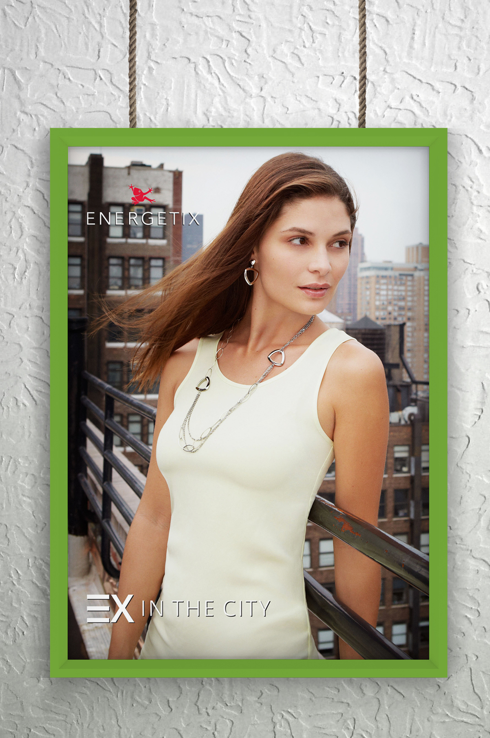 Описание изображения