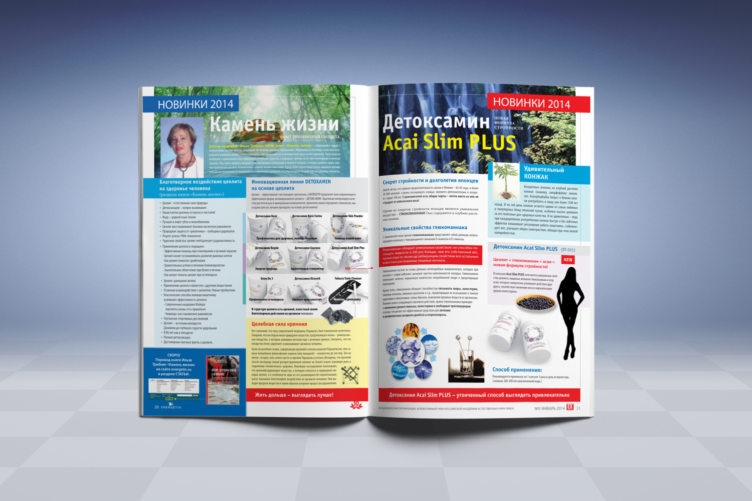 Описание изображения