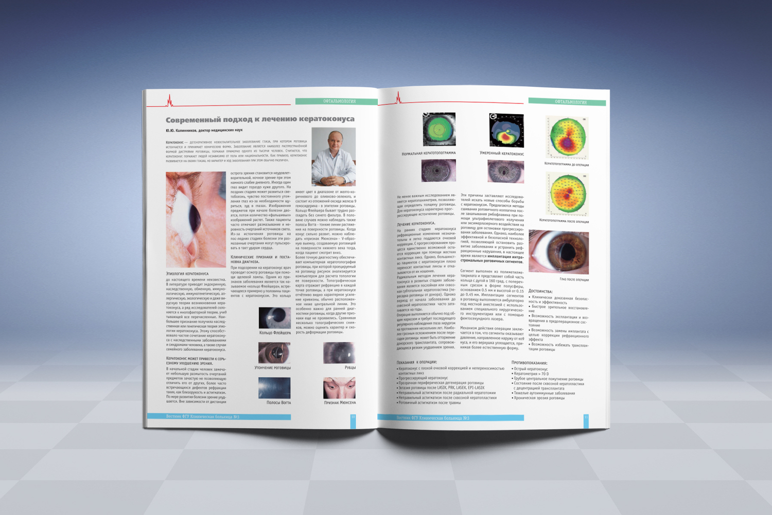 Описание изображения