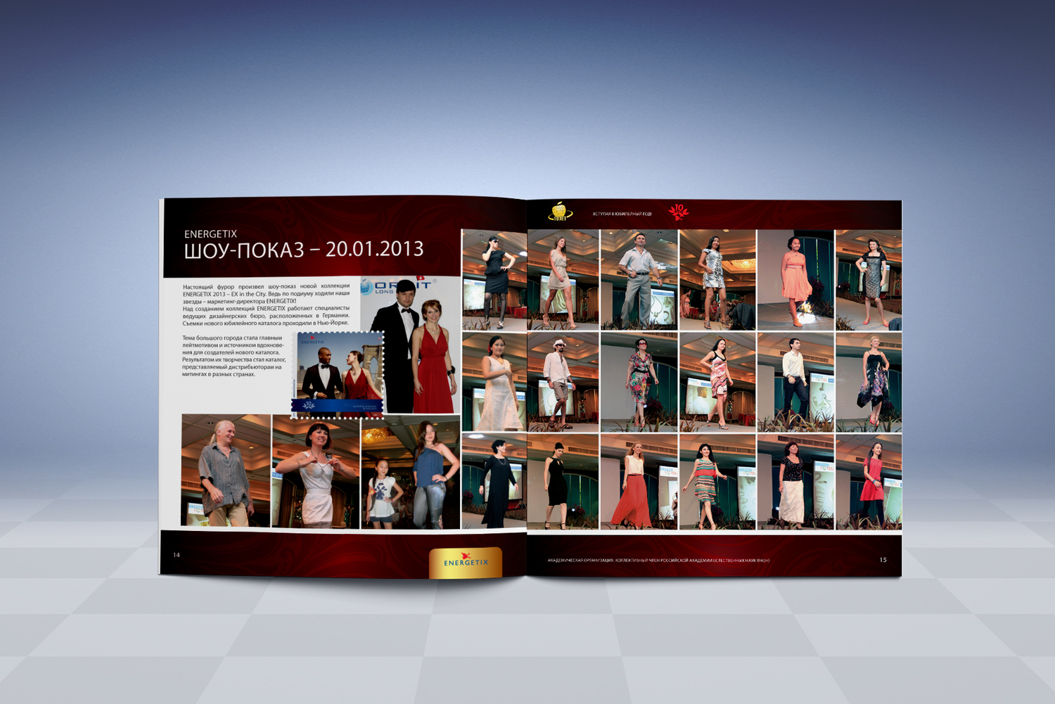 Описание изображения