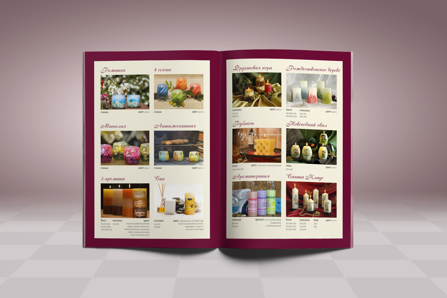 Описание изображения